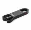 Keilrippenriemen RIDEX 8PK2050 passend f&uuml;r MERCEDES-BENZ M-Klasse (W164) GL