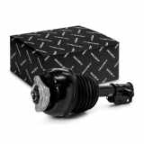 RIDEX 4118A0134 Luftfederbein vorne links passend für MERCEDES-BENZ CLS (C218)