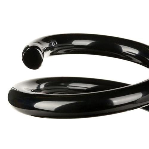 RIDEX 188C0329 2x Federn Fahrwerksfedern Vorne für HONDA CIVIC VI Hatchback Bild RIDEX 188C0329 2x Federn Fahrwerksfedern Vorne für HONDA CIVIC VI Hatchback