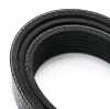 RIDEX Keilrippenriemen für NISSAN Qashqai II (J11, J11) Bild RIDEX Keilrippenriemen für NISSAN Qashqai II (J11, J11)