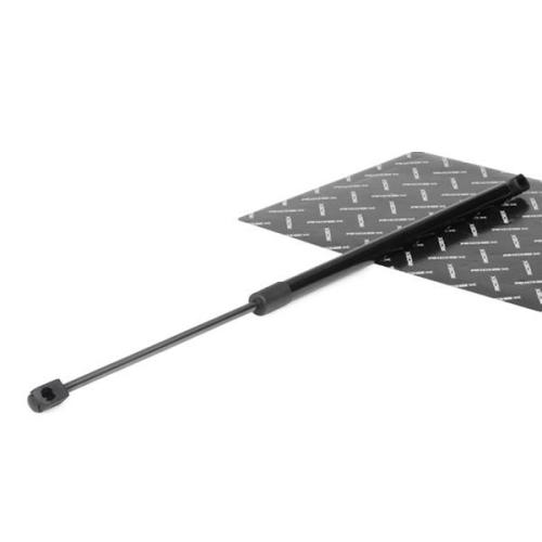 RIDEX 219G0708 Heckklappendämpfer beidseitig Länge:595mm 430N Hub: 210mm für BMW Bild RIDEX 219G0708 Heckklappendämpfer beidseitig Länge:595mm 430N Hub: 210mm für BMW