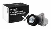 RIDEX 310T0011 Spannrolle Keilrippenriemen für FORD MONDEO IV Turnier (BA7)