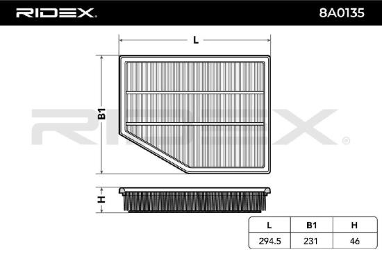 RIDEX 8A0135 Motor Luftfilter FünfEckig Umluftfilter Filtereinsatz für BMW Bild RIDEX 8A0135 Motor Luftfilter FünfEckig Umluftfilter Filtereinsatz für BMW