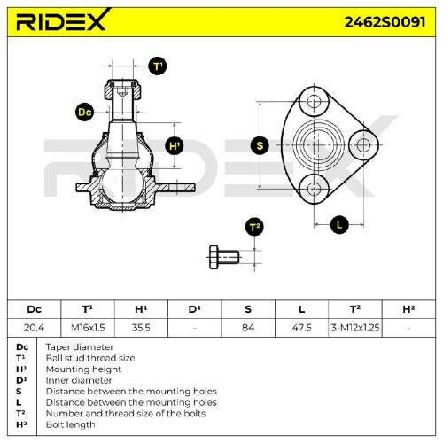 RIDEX 2462S0091 Traggelenk Führungsgelenk Vorne Links Rechts für FIAT Bild RIDEX 2462S0091 Traggelenk Führungsgelenk Vorne Links Rechts für FIAT