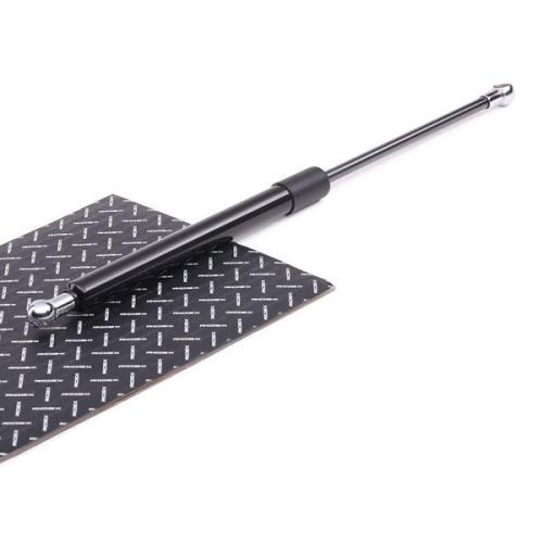 RIDEX 219G0106 Heckklappendämpfer beidseitig hinten Länge:403,5mm 390N Hub: Bild RIDEX 219G0106 Heckklappendämpfer beidseitig hinten Länge:403,5mm 390N Hub: