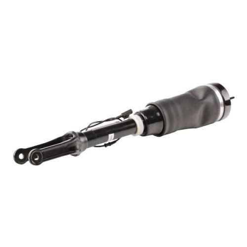 RIDEX 4118A0008 Luftfederbein Vorderachse passend für MERCEDES-BENZ R-Klasse Bild RIDEX 4118A0008 Luftfederbein Vorderachse passend für MERCEDES-BENZ R-Klasse