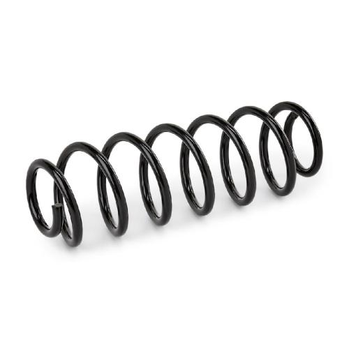 RIDEX 188C0713 2x Federn Fahrwerksfedern Hinten für VW POLO (9N) Bild RIDEX 188C0713 2x Federn Fahrwerksfedern Hinten für VW POLO (9N)