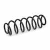 RIDEX 188C0713 2x Federn Fahrwerksfedern Hinten für VW POLO (9N) Bild RIDEX 188C0713 2x Federn Fahrwerksfedern Hinten für VW POLO (9N)