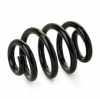 RIDEX PLUS 188C0281P 2x Federn Fahrwerksfedern Hinten für VW 7H0511115AG Bild RIDEX PLUS 188C0281P 2x Federn Fahrwerksfedern Hinten für VW 7H0511115AG