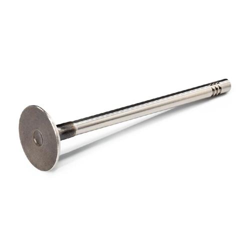 RIDEX Auslassventil für VW Golf 1V Schrägheck (1J1) Bild RIDEX Auslassventil für VW Golf 1V Schrägheck (1J1)