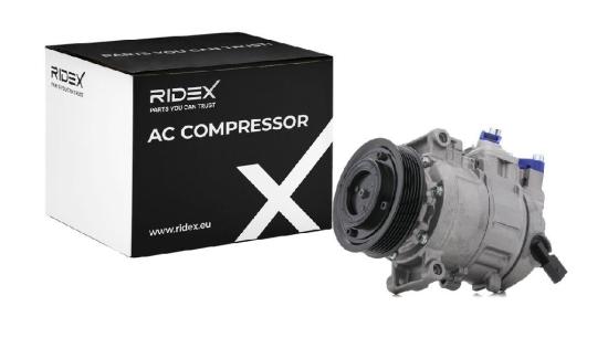 RIDEX A/C Kompressor für Klimaanlage Klimakompressor mit ID: PXE14 mit ID: PAG Bild RIDEX A/C Kompressor für Klimaanlage Klimakompressor mit ID: PXE14 mit ID: PAG
