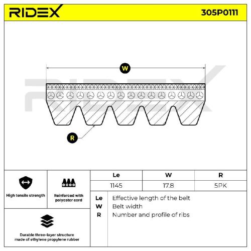 RIDEX Keilrippenriemen für FIAT PANDA (169) Bild RIDEX Keilrippenriemen für FIAT PANDA (169)
