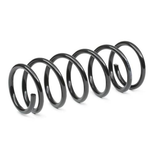 RIDEX 188C1000 2x Federn Fahrwerksfedern Hinten für SUZUKI JIMNY (FJ) Bild RIDEX 188C1000 2x Federn Fahrwerksfedern Hinten für SUZUKI JIMNY (FJ)