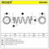 RIDEX 188C0585 2x Federn Fahrwerksfedern Vorne für SUZUKI SX4 (EY, GY) Bild RIDEX 188C0585 2x Federn Fahrwerksfedern Vorne für SUZUKI SX4 (EY, GY)