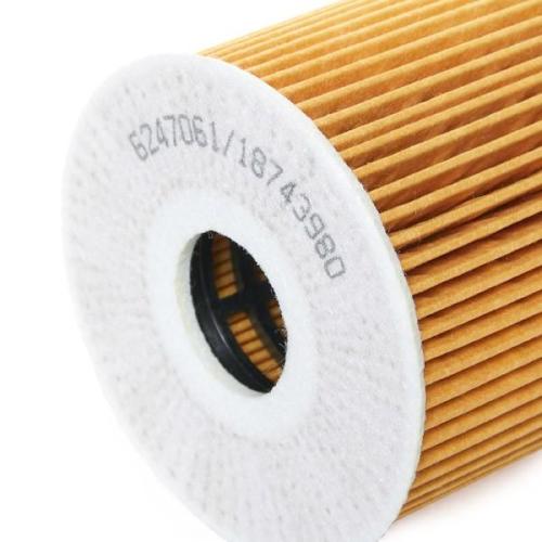 RIDEX PLUS Ölfilter Motorölfilter Filtereinsatz 7O0022P für VOLVO V70 II (285) Bild RIDEX PLUS Ölfilter Motorölfilter Filtereinsatz 7O0022P für VOLVO V70 II (285)