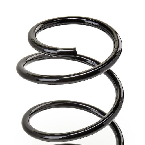 RIDEX 188C0425 2x Federn Fahrwerksfedern Vorne für BMW 5 Limousine (E60) Bild RIDEX 188C0425 2x Federn Fahrwerksfedern Vorne für BMW 5 Limousine (E60)