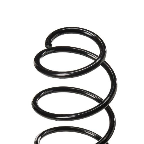 RIDEX 188C0138 2x Federn Fahrwerksfedern Vorne für CITROËN C2 Schrägheck Bild RIDEX 188C0138 2x Federn Fahrwerksfedern Vorne für CITROËN C2 Schrägheck