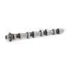 RIDEX Nockenwelle für OPEL Corsa F Bild RIDEX Nockenwelle für OPEL Corsa F