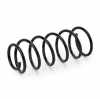 RIDEX 188C0100 2x Federn Fahrwerksfedern Vorne für VW Golf 1 Cabriolet Bild RIDEX 188C0100 2x Federn Fahrwerksfedern Vorne für VW Golf 1 Cabriolet