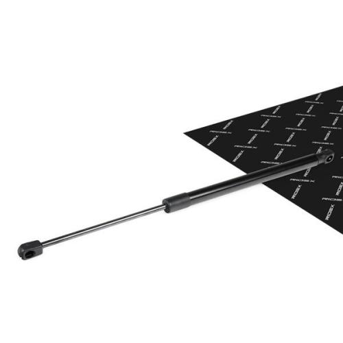 RIDEX 219G0975 Heckklappendämpfer beidseitig Fahrzeugheckklappe Länge:460,5mm Bild RIDEX 219G0975 Heckklappendämpfer beidseitig Fahrzeugheckklappe Länge:460,5mm