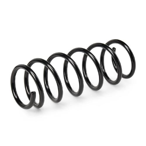 RIDEX 188C0250 2x Federn Fahrwerksfedern Hinten für OPEL AGILA (A) (H00) Bild RIDEX 188C0250 2x Federn Fahrwerksfedern Hinten für OPEL AGILA (A) (H00)