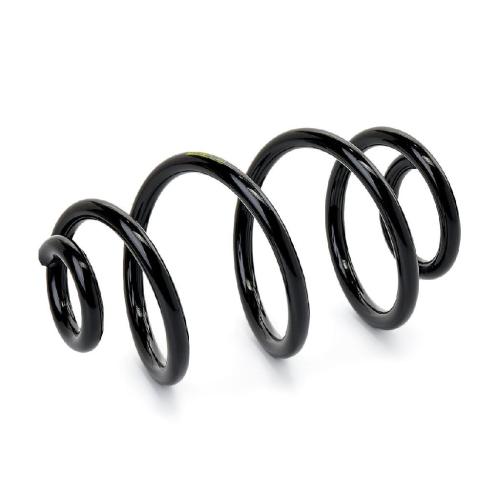 RIDEX PLUS 188C0242P 2x Federn Fahrwerksfedern Hinten für RENAULT Bild RIDEX PLUS 188C0242P 2x Federn Fahrwerksfedern Hinten für RENAULT