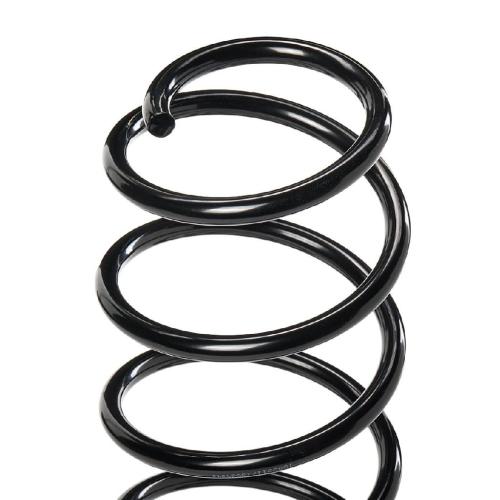 RIDEX 188C0460 2x Federn Fahrwerksfedern Vorne für FORD FUSION (JU) 1215301 Bild RIDEX 188C0460 2x Federn Fahrwerksfedern Vorne für FORD FUSION (JU) 1215301