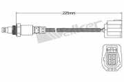 VEGAZ ULS-643 Lambdasonde Oxygen O2 Sensor Breitband-Lambda-Sonde Beheizt