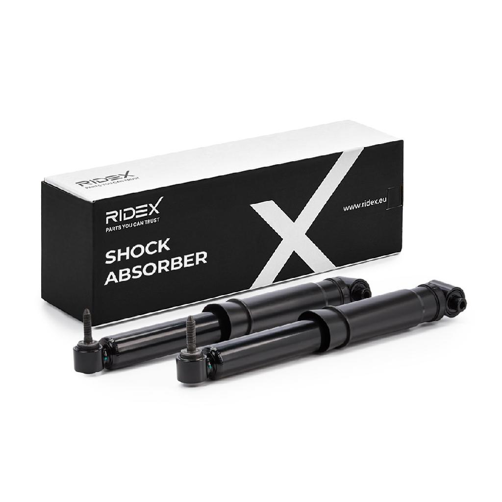 RIDEX 854S20269 2x Stoßdämpfer Gasdruck Hinten für RENAULT Megane 1II Grandtour