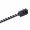 RIDEX 219G0145 Heckklappendämpfer Länge:531mm 545N Hub: 173mm für TOYOTA Bild RIDEX 219G0145 Heckklappendämpfer Länge:531mm 545N Hub: 173mm für TOYOTA