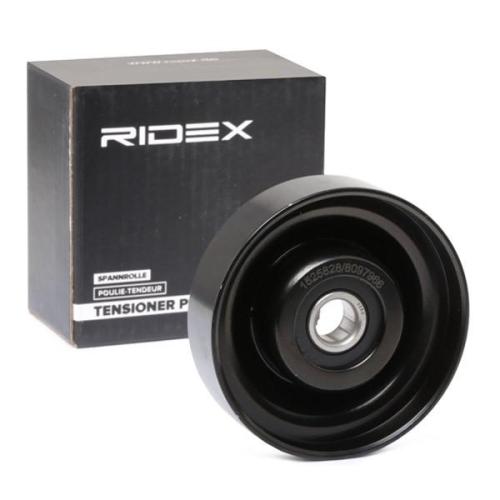 RIDEX Umlenk- / Führungsrolle Keilrippenriemen für HYUNDAI Tucson (TL, TLE) Bild RIDEX Umlenk- / Führungsrolle Keilrippenriemen für HYUNDAI Tucson (TL, TLE)