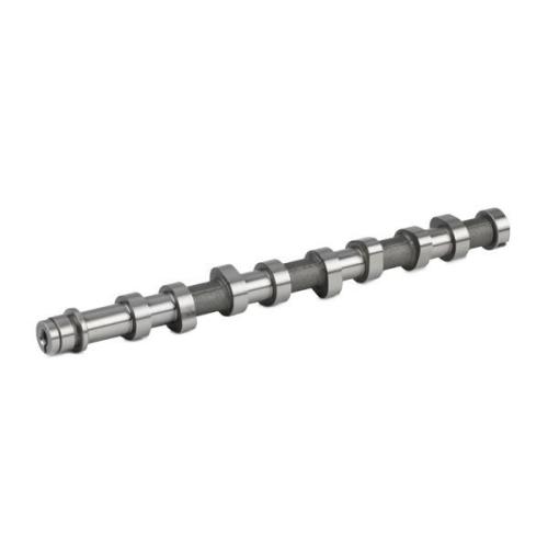RIDEX Nockenwelle für FORD Fiesta Mk6 Schrägheck (JA8, JR8) Bild RIDEX Nockenwelle für FORD Fiesta Mk6 Schrägheck (JA8, JR8)