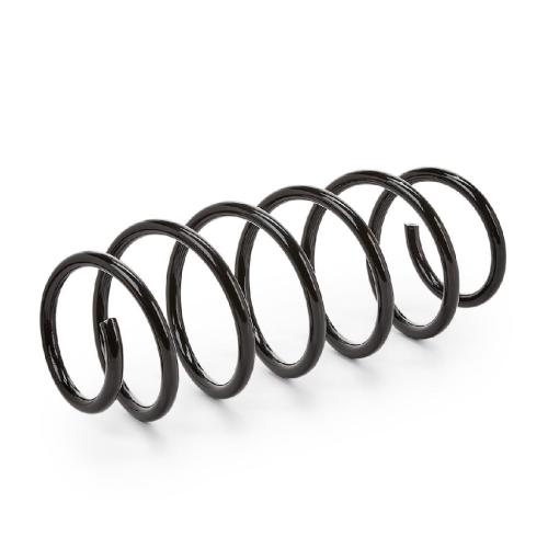 RIDEX 188C0038 2x Federn Fahrwerksfedern Vorne für VW POLO (9N) 6Q0411105S Bild RIDEX 188C0038 2x Federn Fahrwerksfedern Vorne für VW POLO (9N) 6Q0411105S