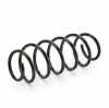 RIDEX 188C0038 2x Federn Fahrwerksfedern Vorne für VW POLO (9N) 6Q0411105S Bild RIDEX 188C0038 2x Federn Fahrwerksfedern Vorne für VW POLO (9N) 6Q0411105S