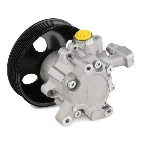 RIDEX 12H0180 Servopumpe Hydraulikpumpe Lenkung hydraulisch 0034666001 Bild RIDEX 12H0180 Servopumpe Hydraulikpumpe Lenkung hydraulisch 0034666001