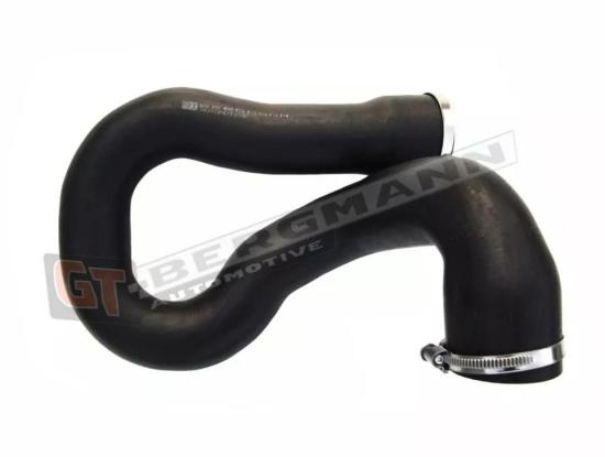 GT-BERGMANN GT52-189 Ladeluftschlauch mit Klemmstücken für OPEL 8200760918 Bild GT-BERGMANN GT52-189 Ladeluftschlauch mit Klemmstücken für OPEL 8200760918
