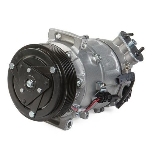 RIDEX A/C Kompressor für Klimaanlage Klimakompressor PAG 46 mit 120mm 6-Rillen Bild RIDEX A/C Kompressor für Klimaanlage Klimakompressor PAG 46 mit 120mm 6-Rillen