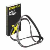 Keilrippenriemen RIDEX PLUS 6PK1590 für VW Transporter IV Bus für AUDI Q5 (8RB)