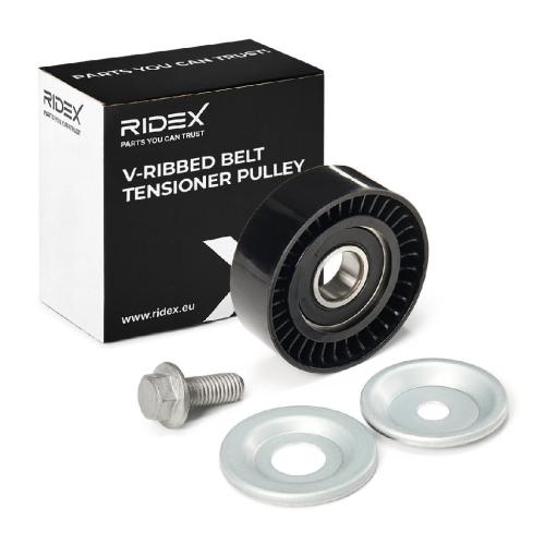 RIDEX 310T0096 Spannrolle Keilrippenriemen für HYUNDAI Tucson (TL, TLE) Bild RIDEX 310T0096 Spannrolle Keilrippenriemen für HYUNDAI Tucson (TL, TLE)