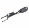 RIDEX 4118A0003 Luftfederbein Vorderachse passend für MERCEDES-BENZ M-Klasse GL Bild RIDEX 4118A0003 Luftfederbein Vorderachse passend für MERCEDES-BENZ M-Klasse GL