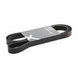Keilrippenriemen RIDEX für VW POLO (9N) PASSAT Variant (3B6) für AUDI A4 Avant