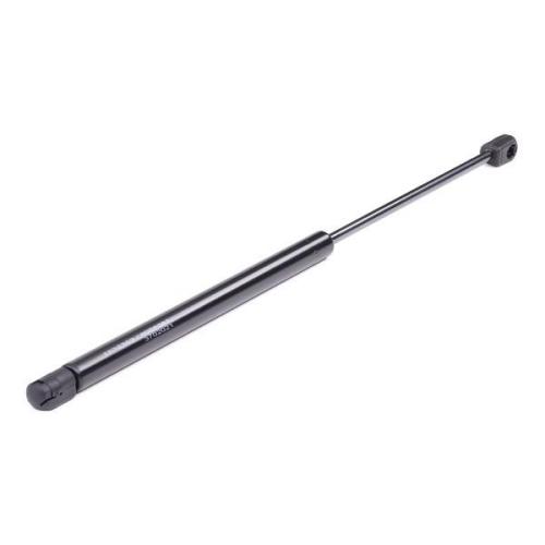 2x RIDEX 219G0026 Heckklappendämpfer beidseitig Fahrzeugheckklappe Länge:490,5mm Bild 2x RIDEX 219G0026 Heckklappendämpfer beidseitig Fahrzeugheckklappe Länge:490,5mm