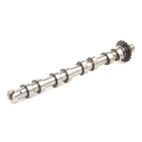 RIDEX Nockenwelle für FORD Fiesta Mk6 Schrägheck (JA8, JR8) Bild RIDEX Nockenwelle für FORD Fiesta Mk6 Schrägheck (JA8, JR8)