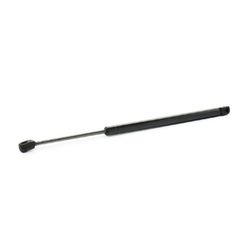 RIDEX 219G1266 Heckklappendämpfer Fahrzeugheckklappe beidseitig Länge:500mm 780N Bild RIDEX 219G1266 Heckklappendämpfer Fahrzeugheckklappe beidseitig Länge:500mm 780N