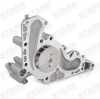 STARK SKWP-0520344 Kühlmittelpumpe Motorkühlung Wasserpumpe mechanisch für LEXUS Bild STARK SKWP-0520344 Kühlmittelpumpe Motorkühlung Wasserpumpe mechanisch für LEXUS
