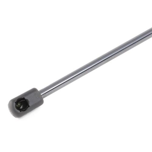 RIDEX Motorhaubendämpfer für VOLVO V50 (545) Bild RIDEX Motorhaubendämpfer für VOLVO V50 (545)