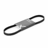 Keilrippenriemen RIDEX 5PK875 für OPEL ZAFIRA B (A05) Astra G CC (T98) Zafira A