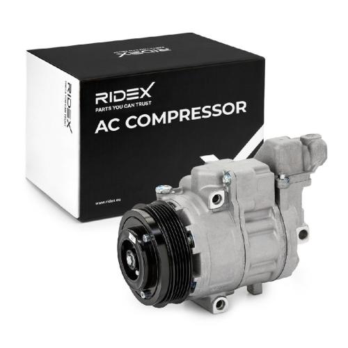 RIDEX A/C Kompressor für Klimaanlage Klimakompressor mit ID: 6SEU12C PAG 46 mit Bild RIDEX A/C Kompressor für Klimaanlage Klimakompressor mit ID: 6SEU12C PAG 46 mit