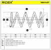 RIDEX 188C0487 2x Federn Fahrwerksfedern Vorne für NISSAN ALMERA TINO (V10) Bild RIDEX 188C0487 2x Federn Fahrwerksfedern Vorne für NISSAN ALMERA TINO (V10)