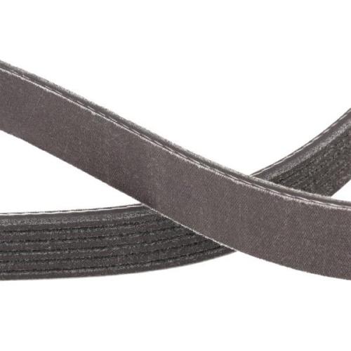 RIDEX PLUS Keilrippenriemen für AUDI A4 Avant (8K5, B8) Bild RIDEX PLUS Keilrippenriemen für AUDI A4 Avant (8K5, B8)